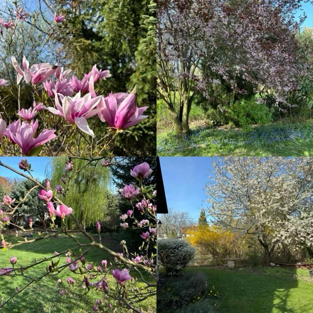 7 Bedroom Secluded Close To Prague * Říčany